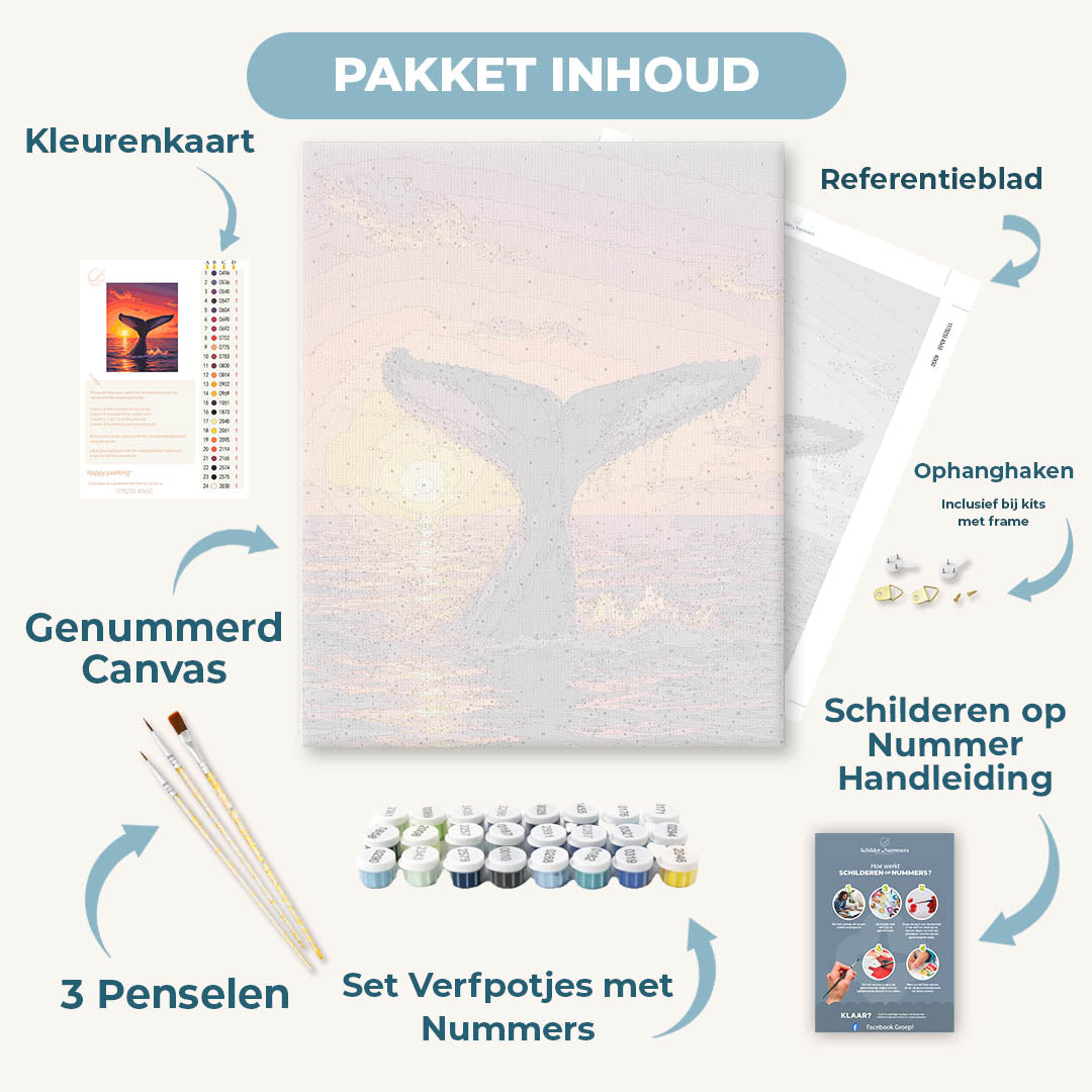 Walvisstaart bij zonsondergang