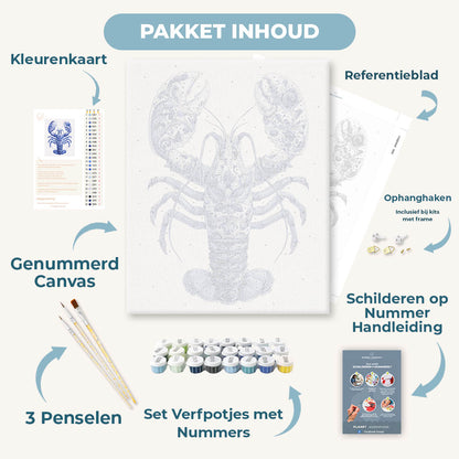 Elegante kreeft