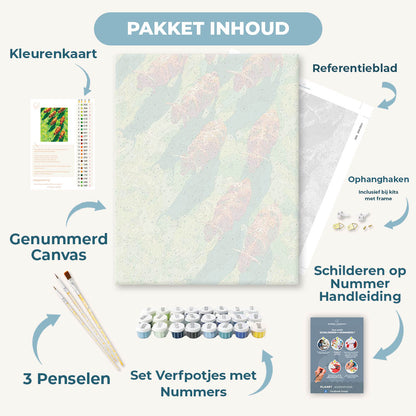 Het licht volgen