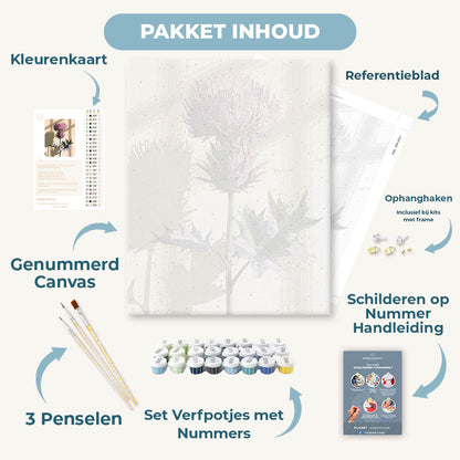 Schotse distel