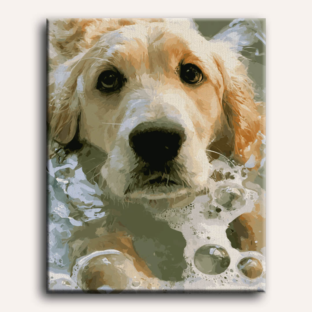 Zeepnatte golden retriever
