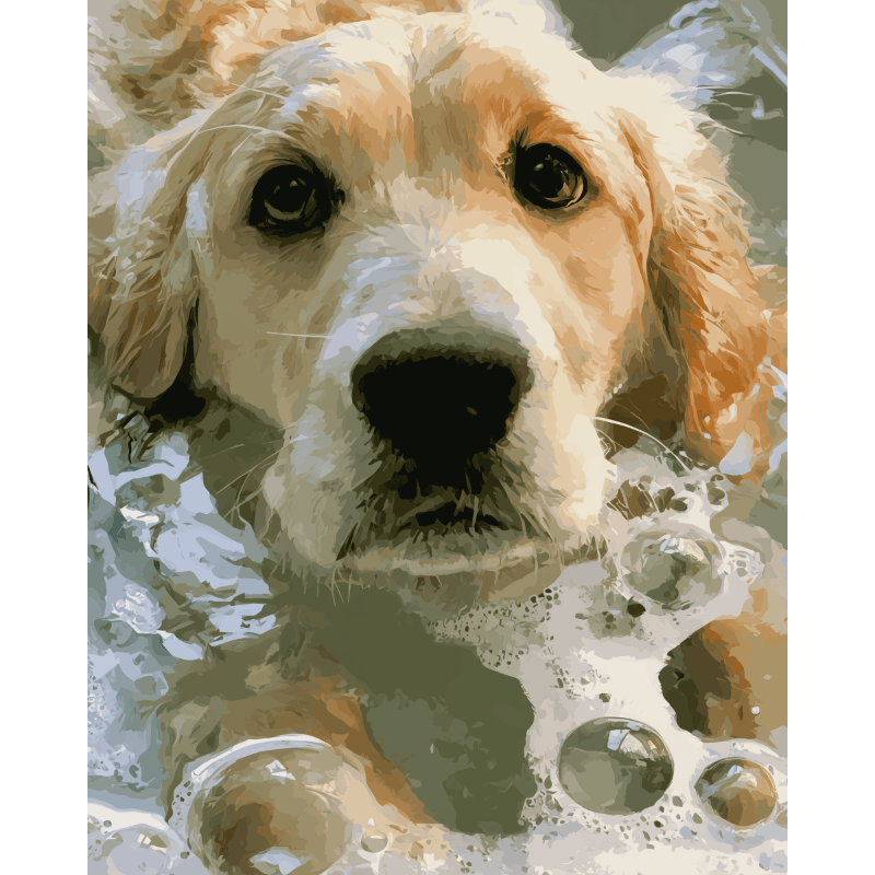 Zeepnatte golden retriever