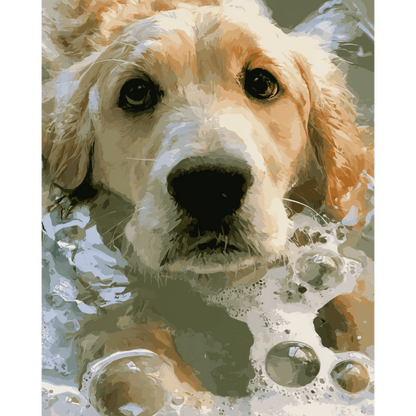 Zeepnatte golden retriever