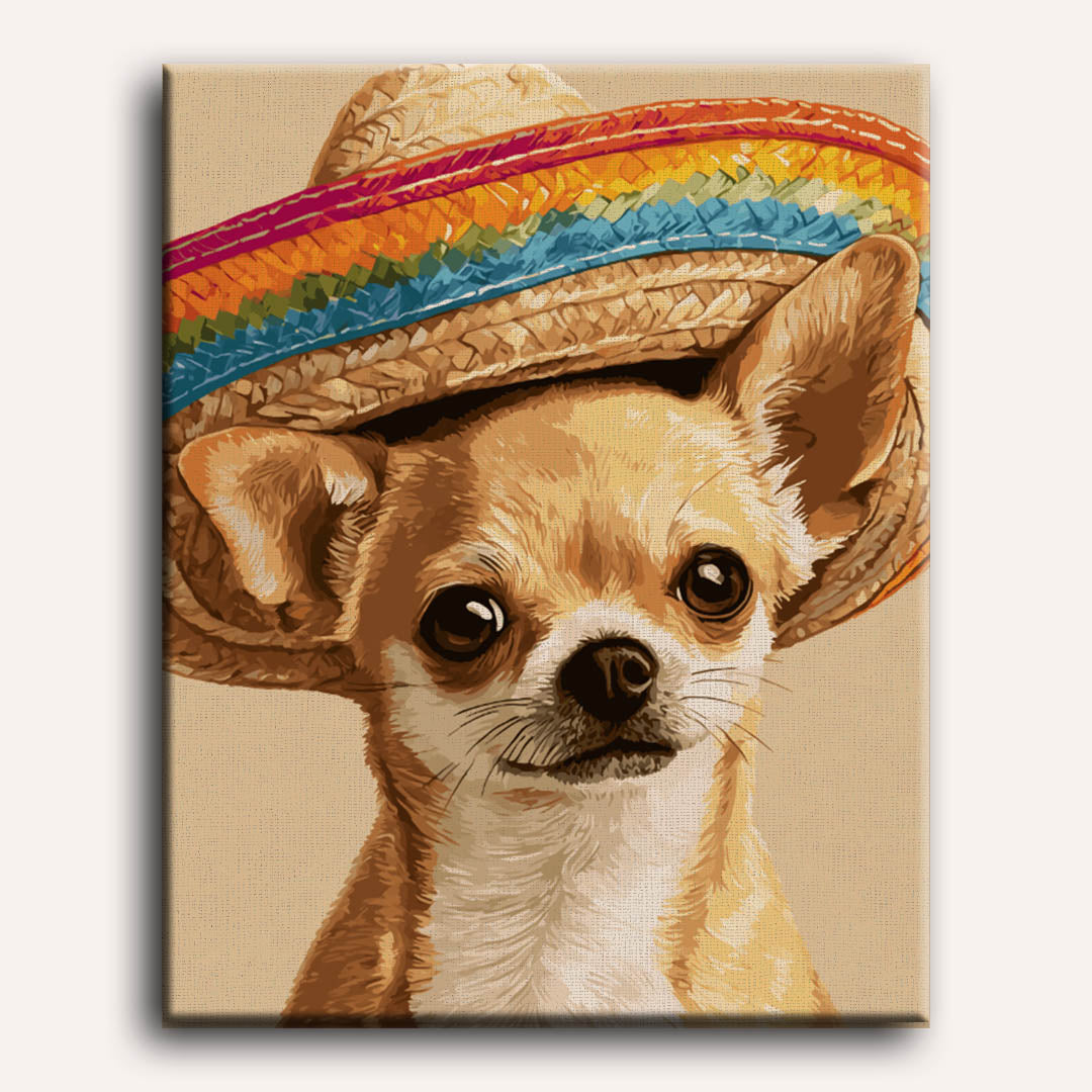 Fiesta chihuahua
