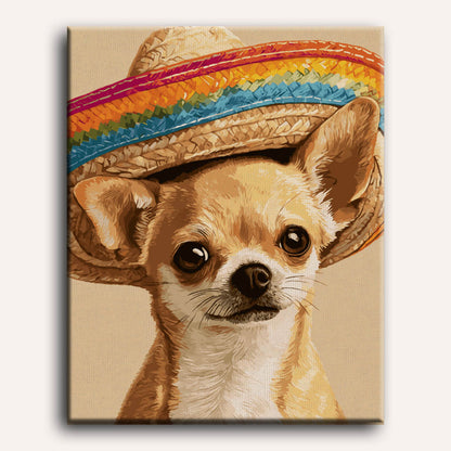 Fiesta chihuahua