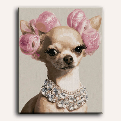 Chihuahua diva