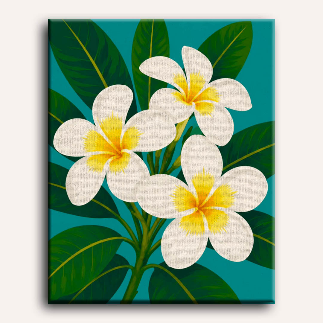 Frangipani bloemen