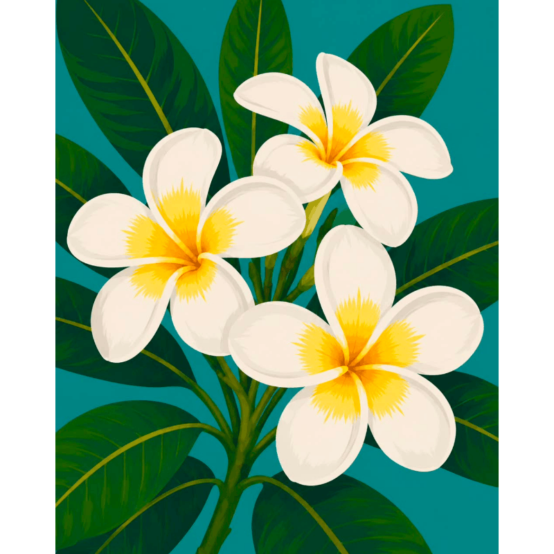 Frangipani bloemen