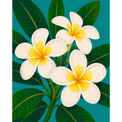 Frangipani bloemen