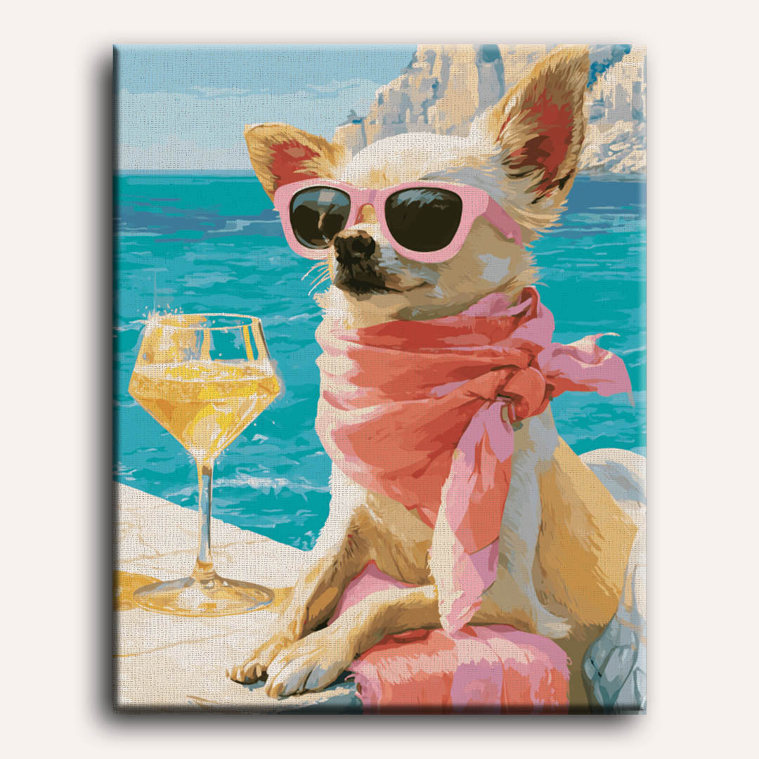 Chihuahua op vakantie