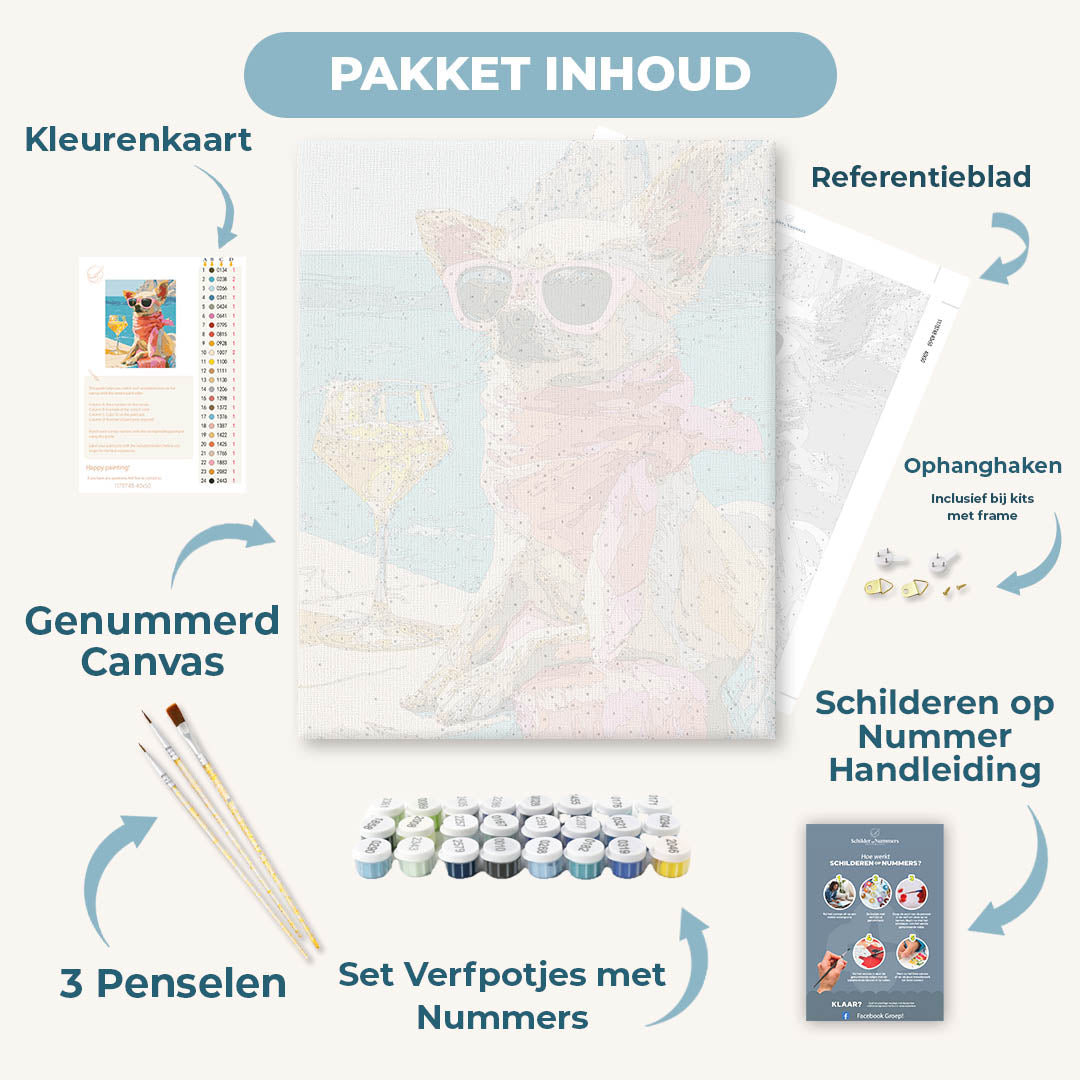 Chihuahua op vakantie
