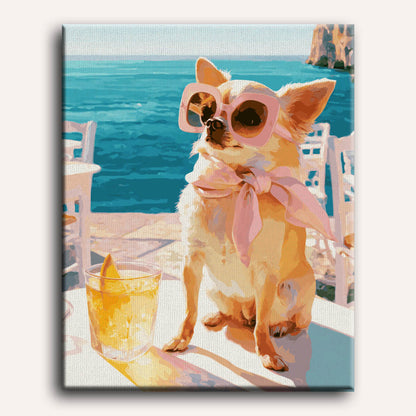 Elegante chihuahua