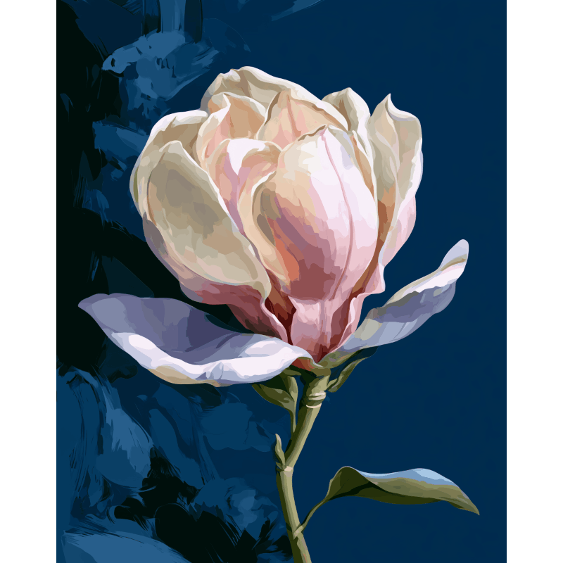 Magnolia bij nacht
