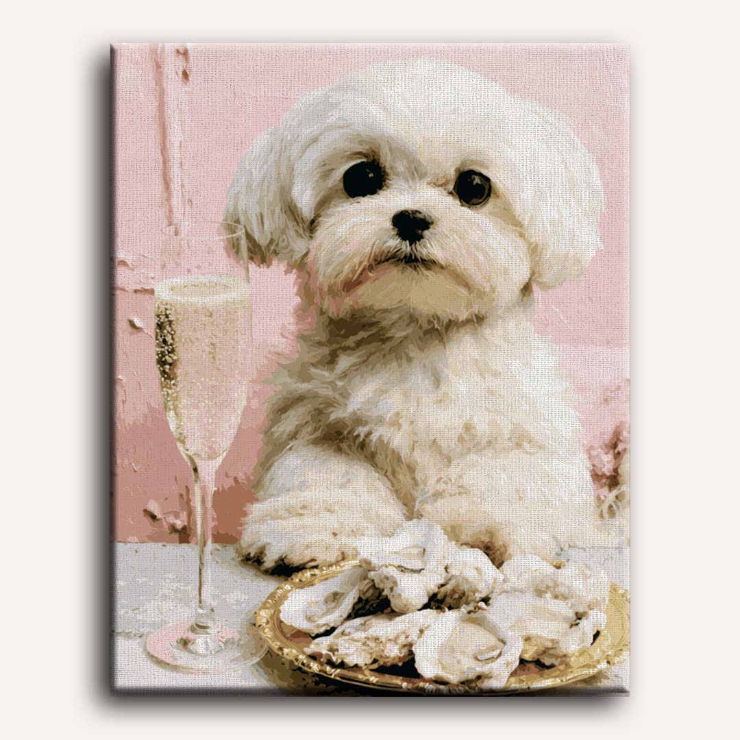 Puppy oesters lunch