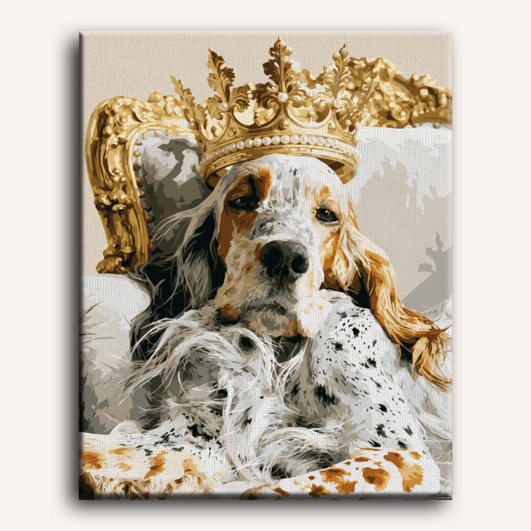 Koninklijke setter