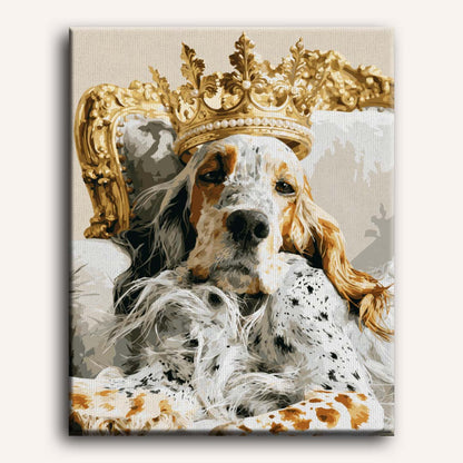 Koninklijke setter