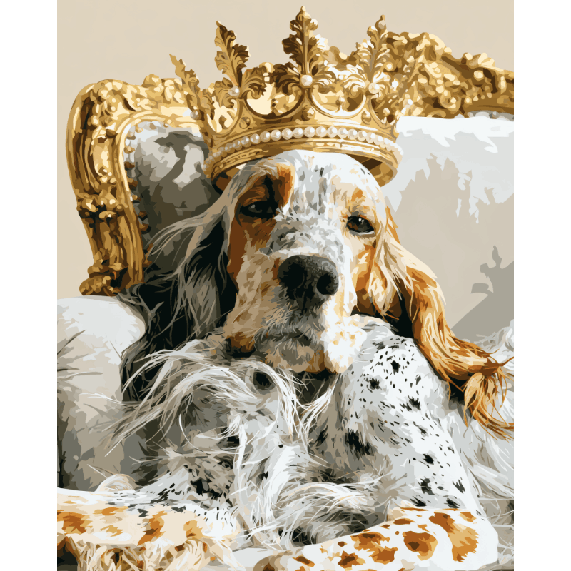 Koninklijke setter