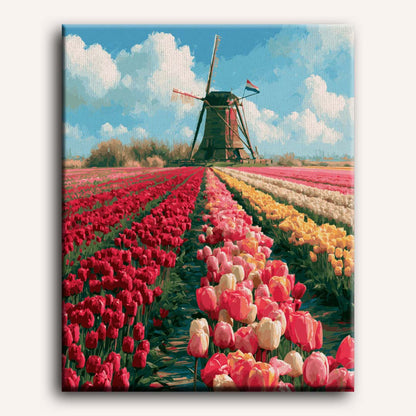 Nederlands landschap