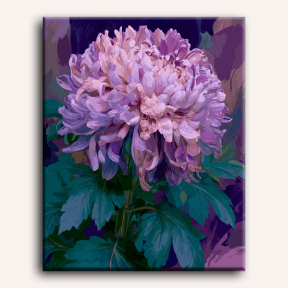 Lavendel chrysant