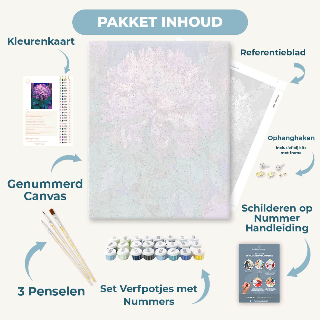 Lavendel chrysant