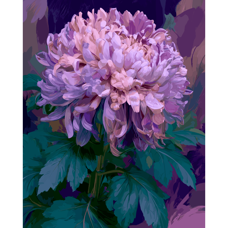 Lavendel chrysant