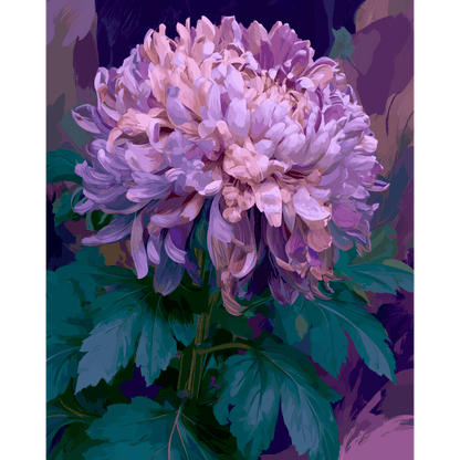 Lavendel chrysant