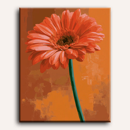 Zonsondergang gerbera