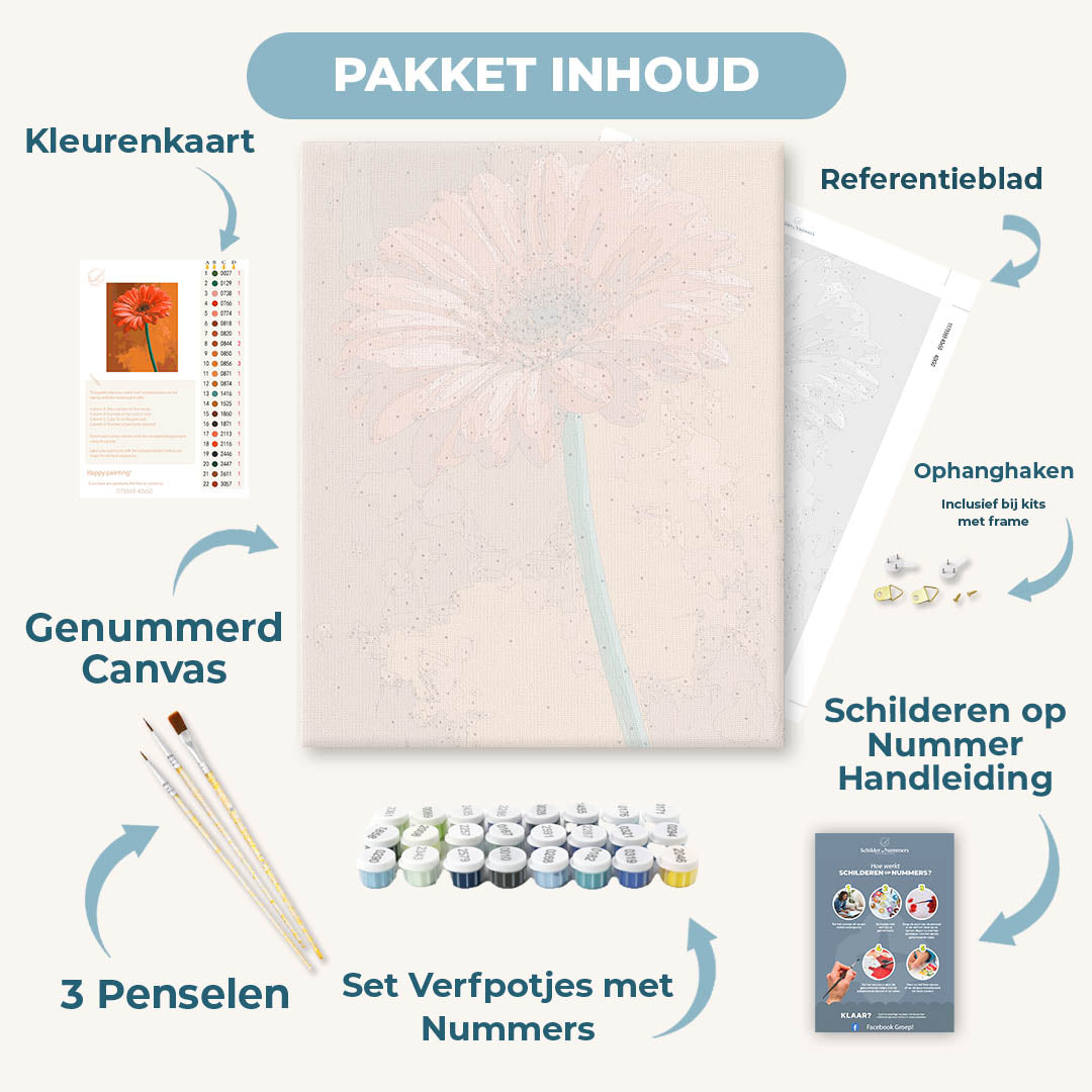 Zonsondergang gerbera