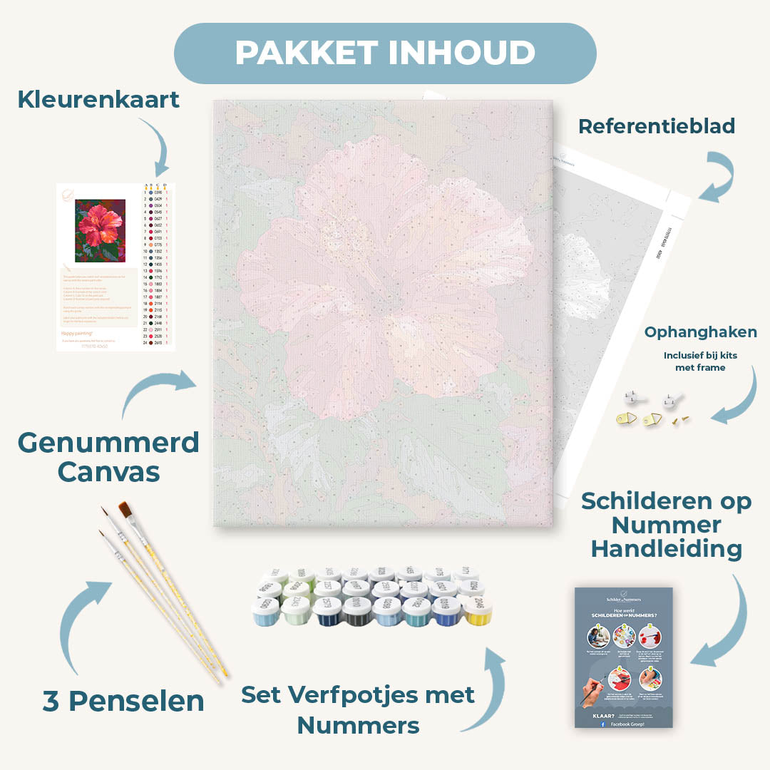 Koraalrode hibiscus