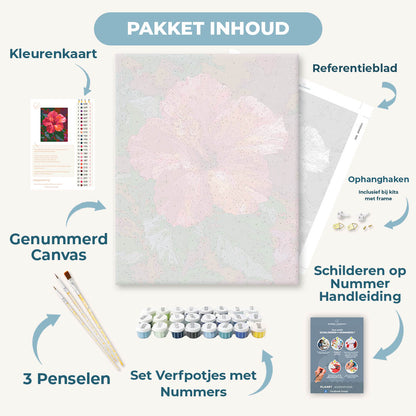 Koraalrode hibiscus