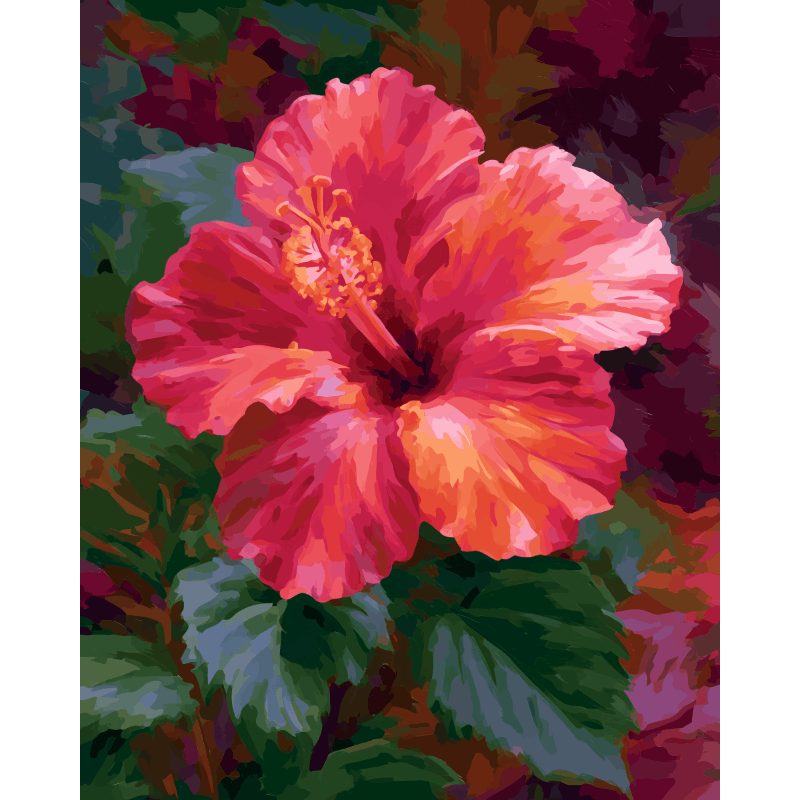 Koraalrode hibiscus