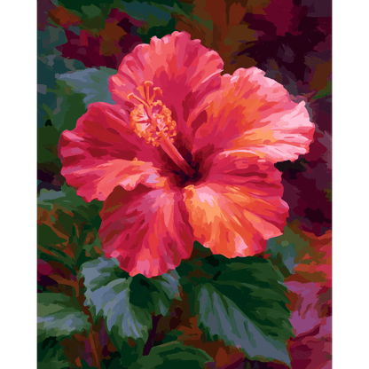 Koraalrode hibiscus