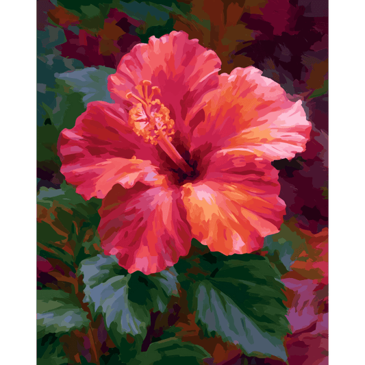 Koraalrode hibiscus