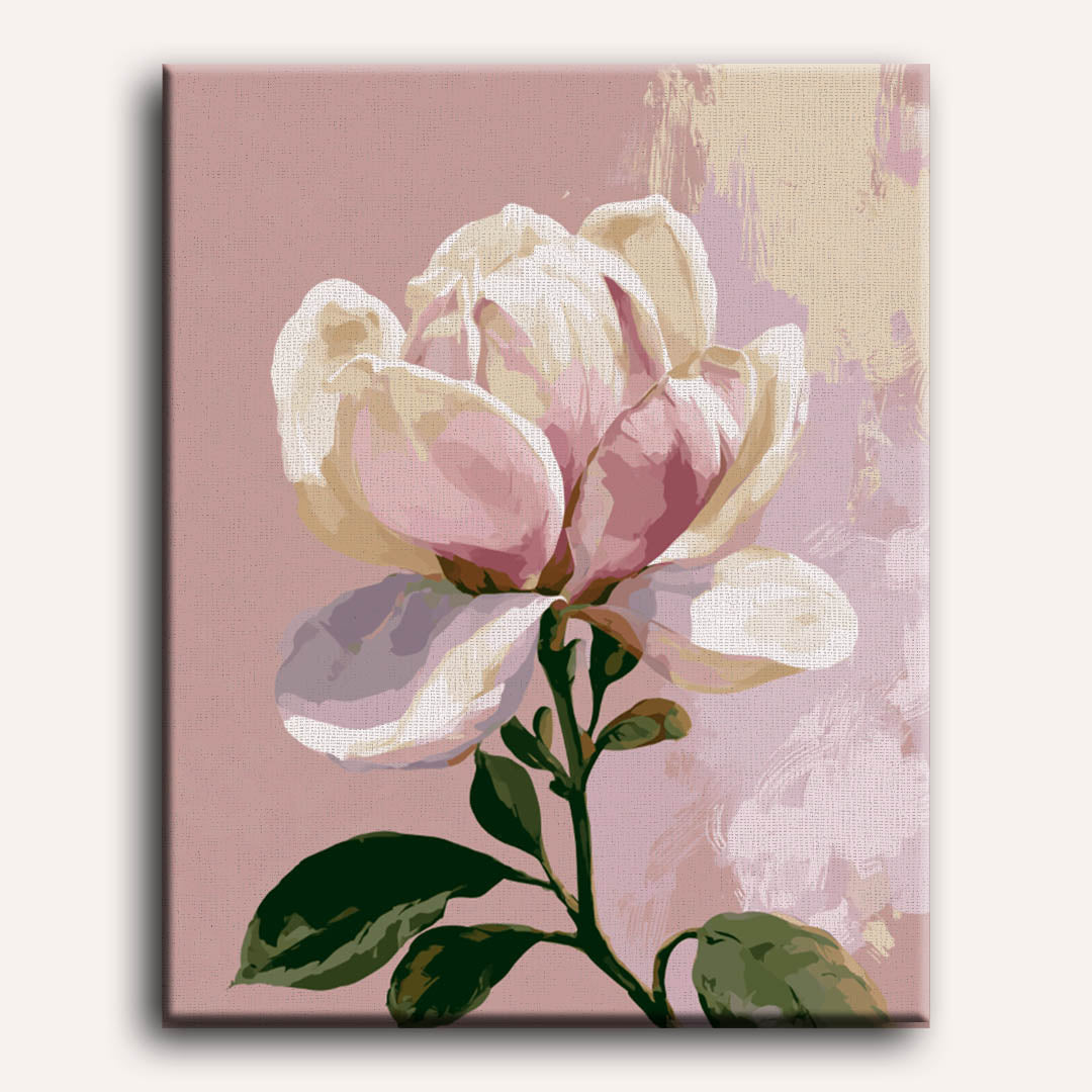Magnolia gratie