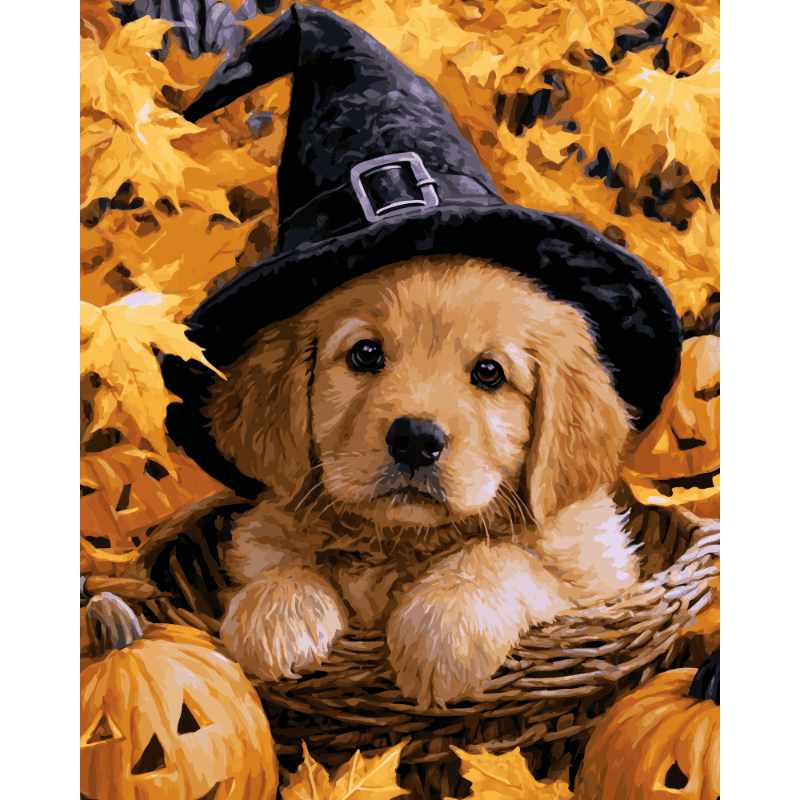 Klein spreukpuppy