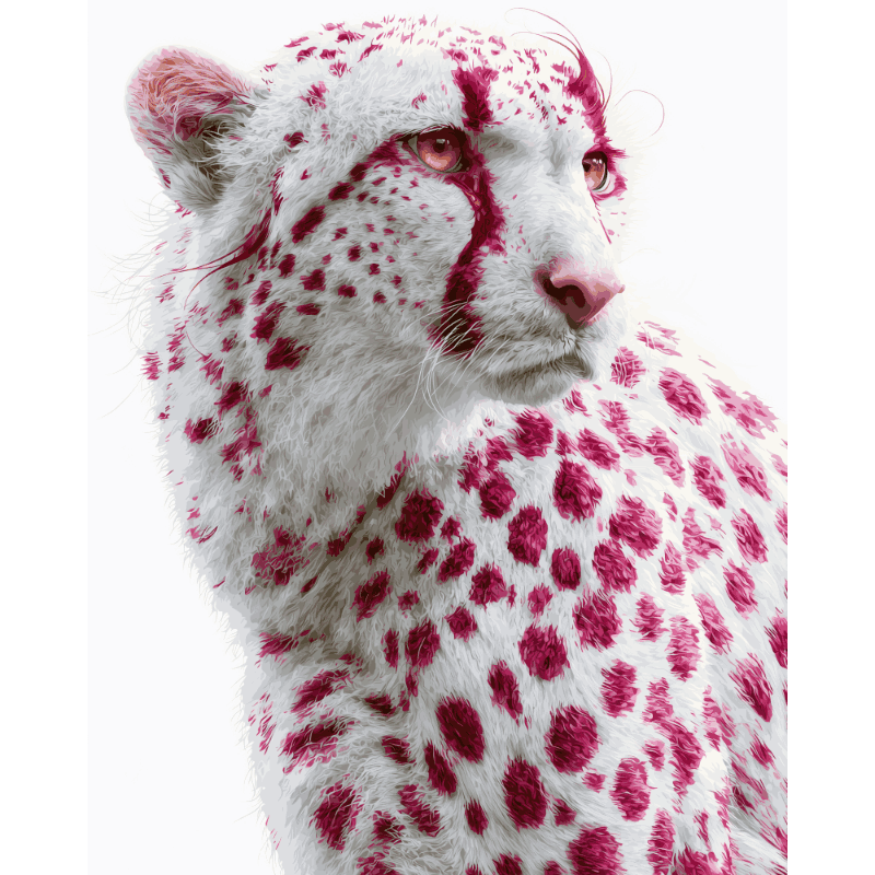 Framboos cheetah