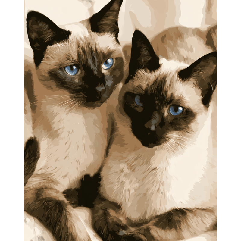 Siamese metgezellen