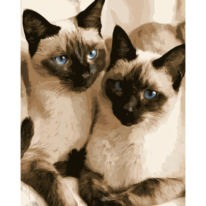 Siamese metgezellen