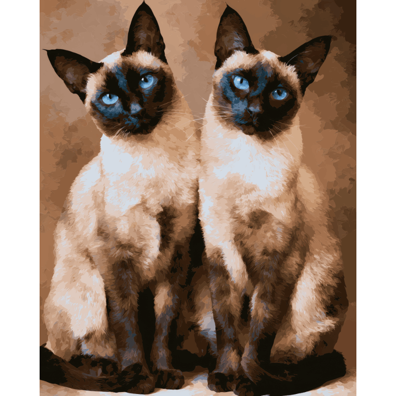Siamese duo