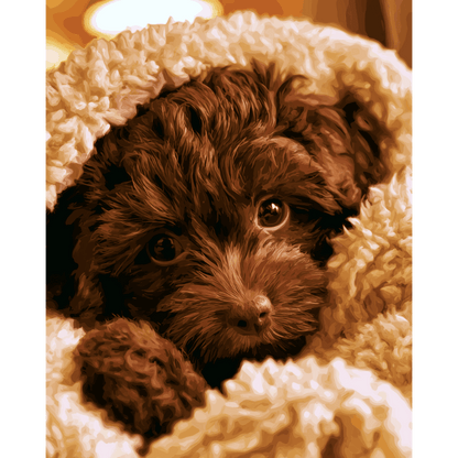 Teddybeer pup