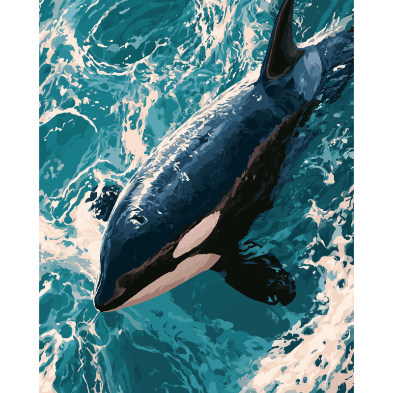 Orca liefde - Schilder Op Nummers