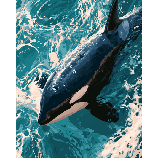 Orca liefde - Schilder Op Nummers