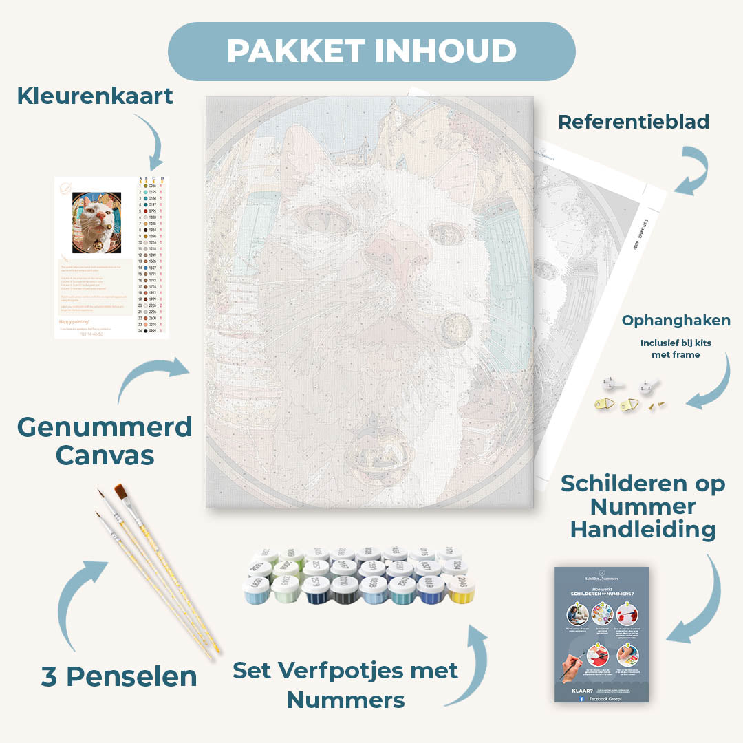 Een kat op hoogte