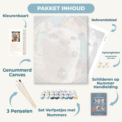 Een kat op hoogte
