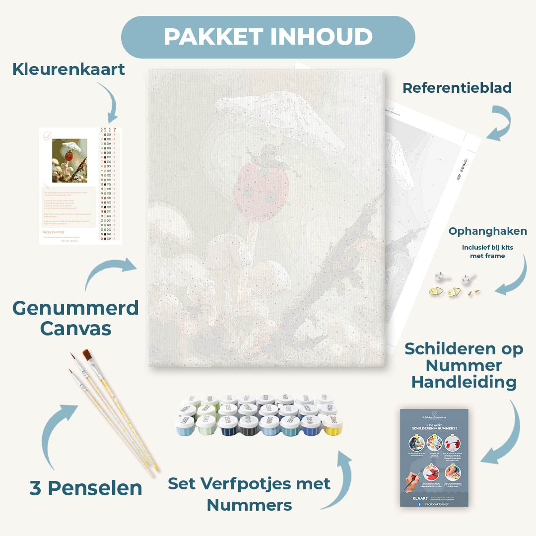 Paddenstoel lieveheersbeestje