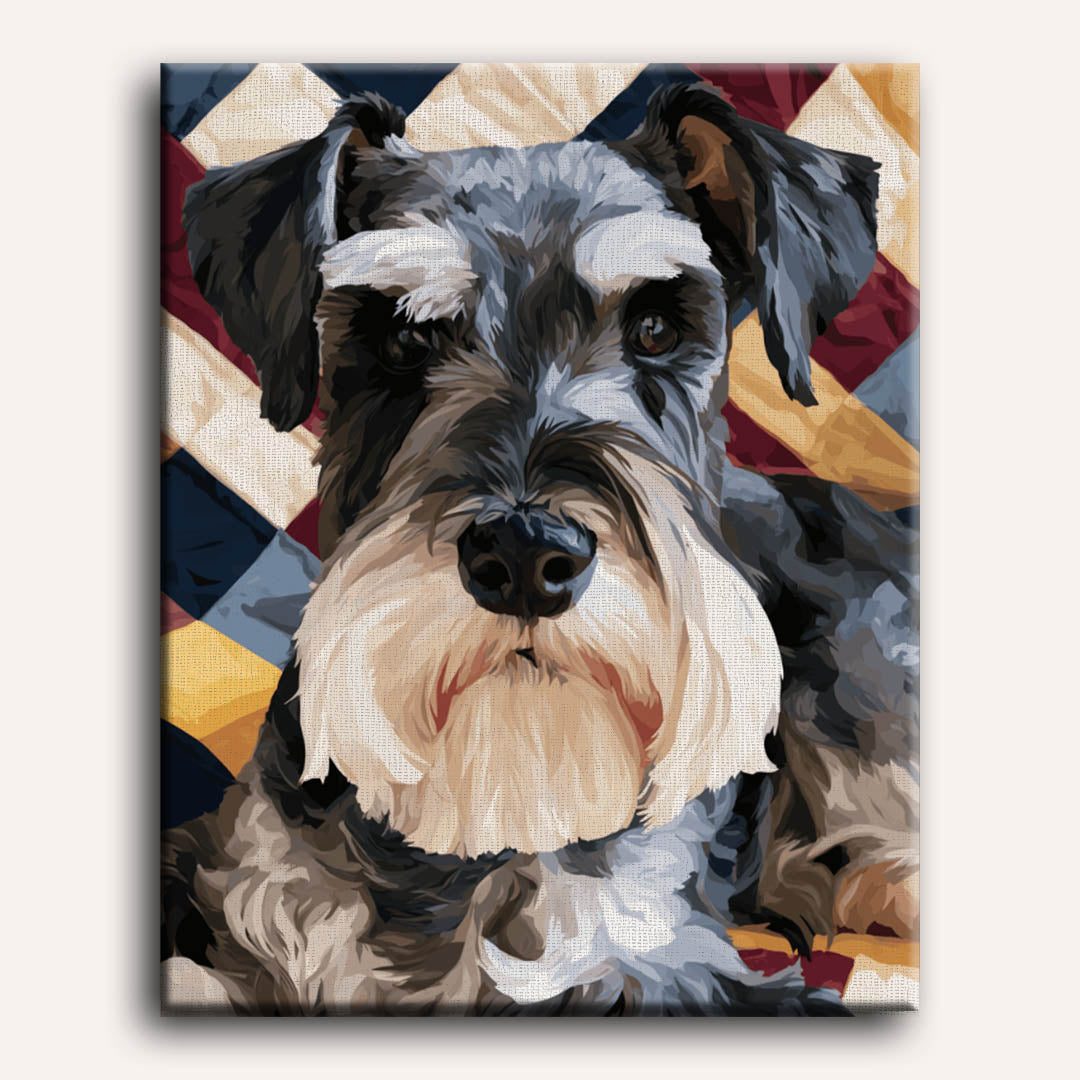 Patriottische schnauzer
