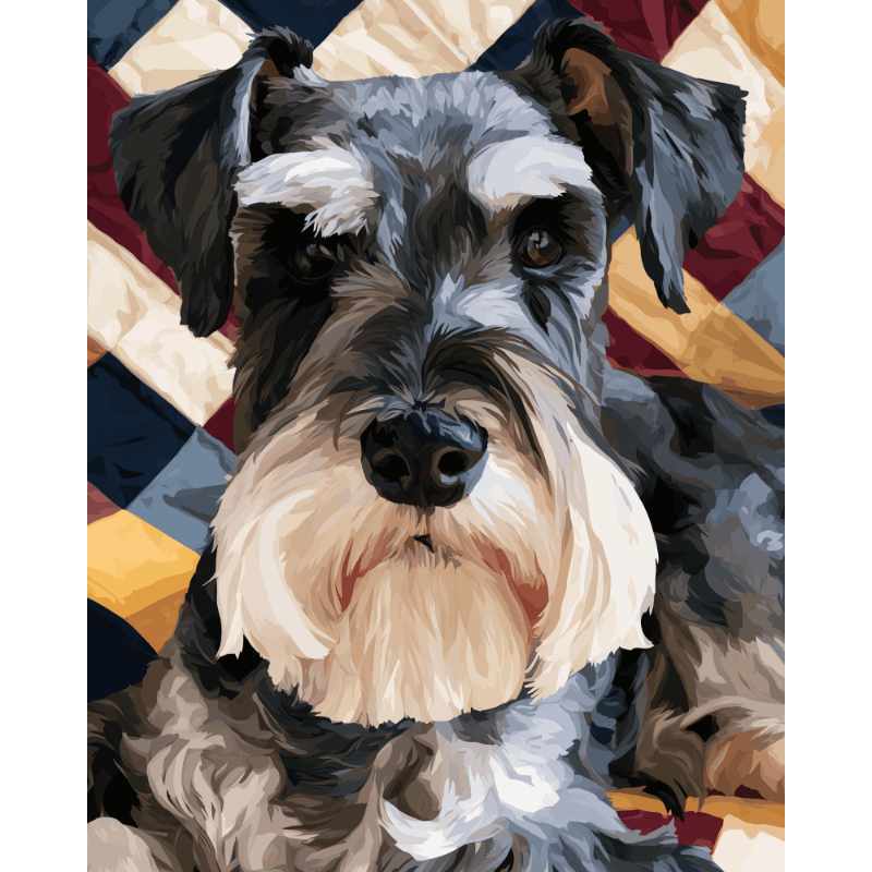 Patriottische schnauzer