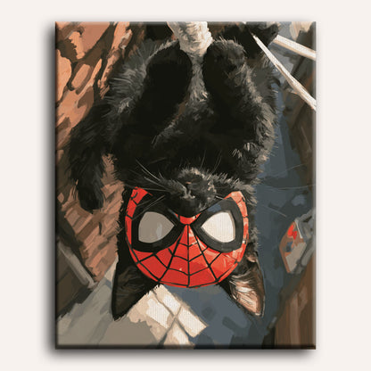 Spiderkat