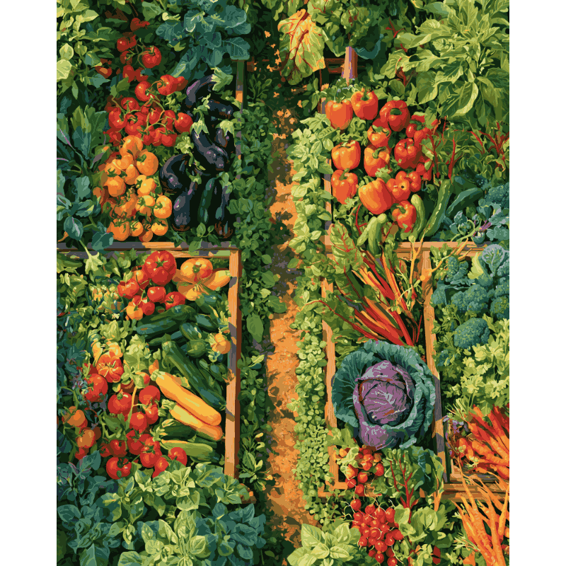 Tuinrijen van bovenaf - Schilder Op Nummers