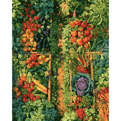 Tuinrijen van bovenaf - Schilder Op Nummers